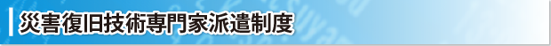 災害復旧技術専門家派遣制度