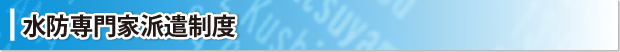 水防専門家派遣制度